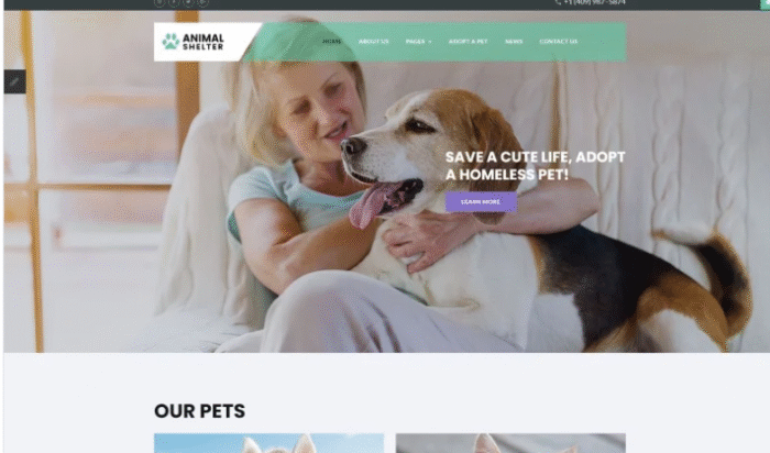 Animal Shelter