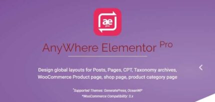 AnyWhere Elementor Pro