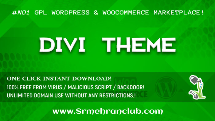 Divi theme