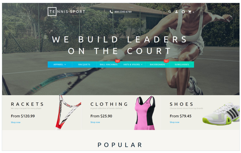 Tennis Sport Tennis Sport