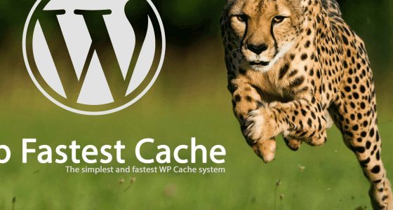 WP Fastest Cache