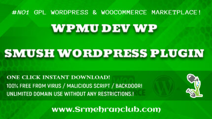 WPMU DEV WP